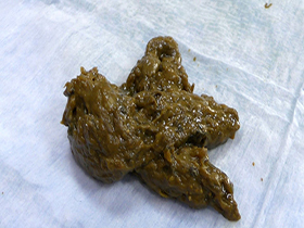 たっぷり出す女・美々　サンプル画像06